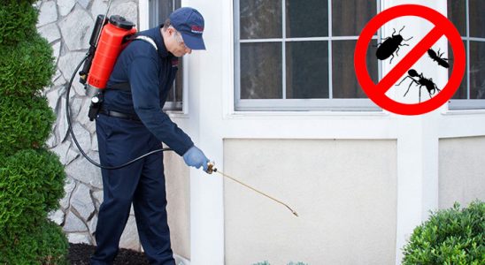 Yağlıdere Gümüşkurt İlaçlama böcek ilaçlama ve haşere kontrolü — ilaclama-tr.com